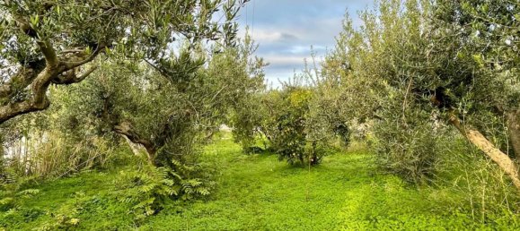 Дом с 4 спальнями в Кастелламмаре дель Гольфо, Италия № 272491 64