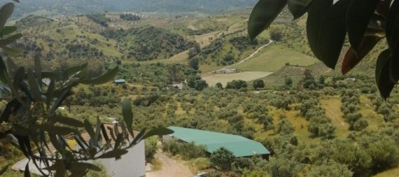 6 bedrooms House in Cadiz, Spain No. 136714 44