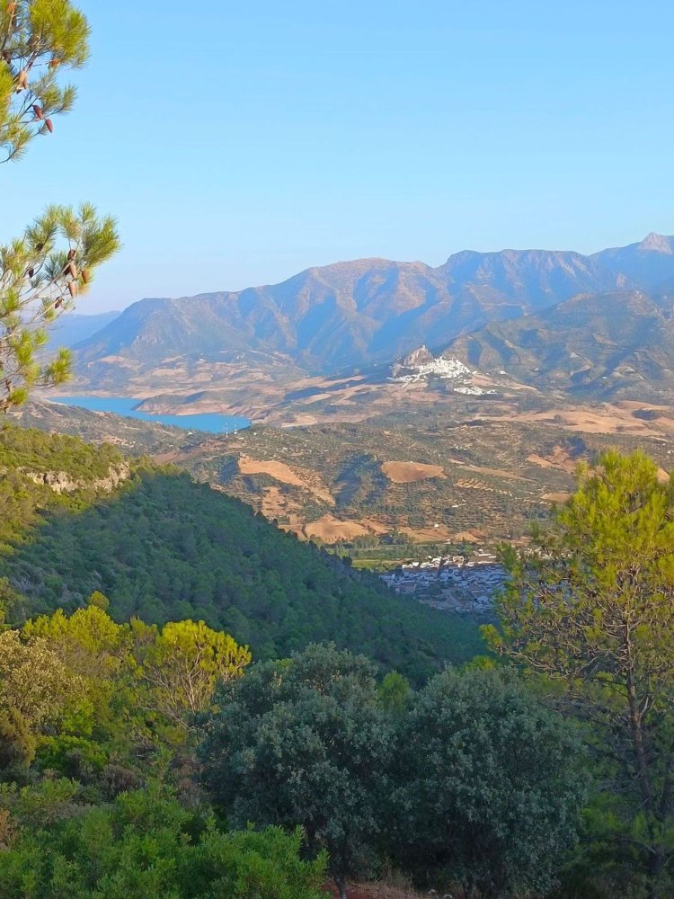 6 bedrooms House in Cadiz, Spain No. 136714