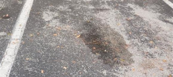2 غرف نوم عقار تجاري في Miami, الولايات المتحدة رقم 614378 21