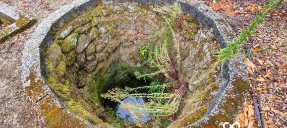  Land in Lajeosa do Dao, Portugal No. 65464 10