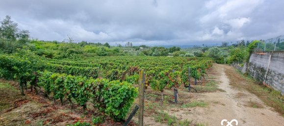  Land in Lajeosa do Dao, Portugal No. 65464 2