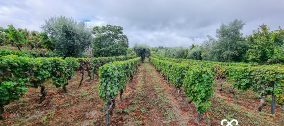  Land in Lajeosa do Dao, Portugal No. 65464 3