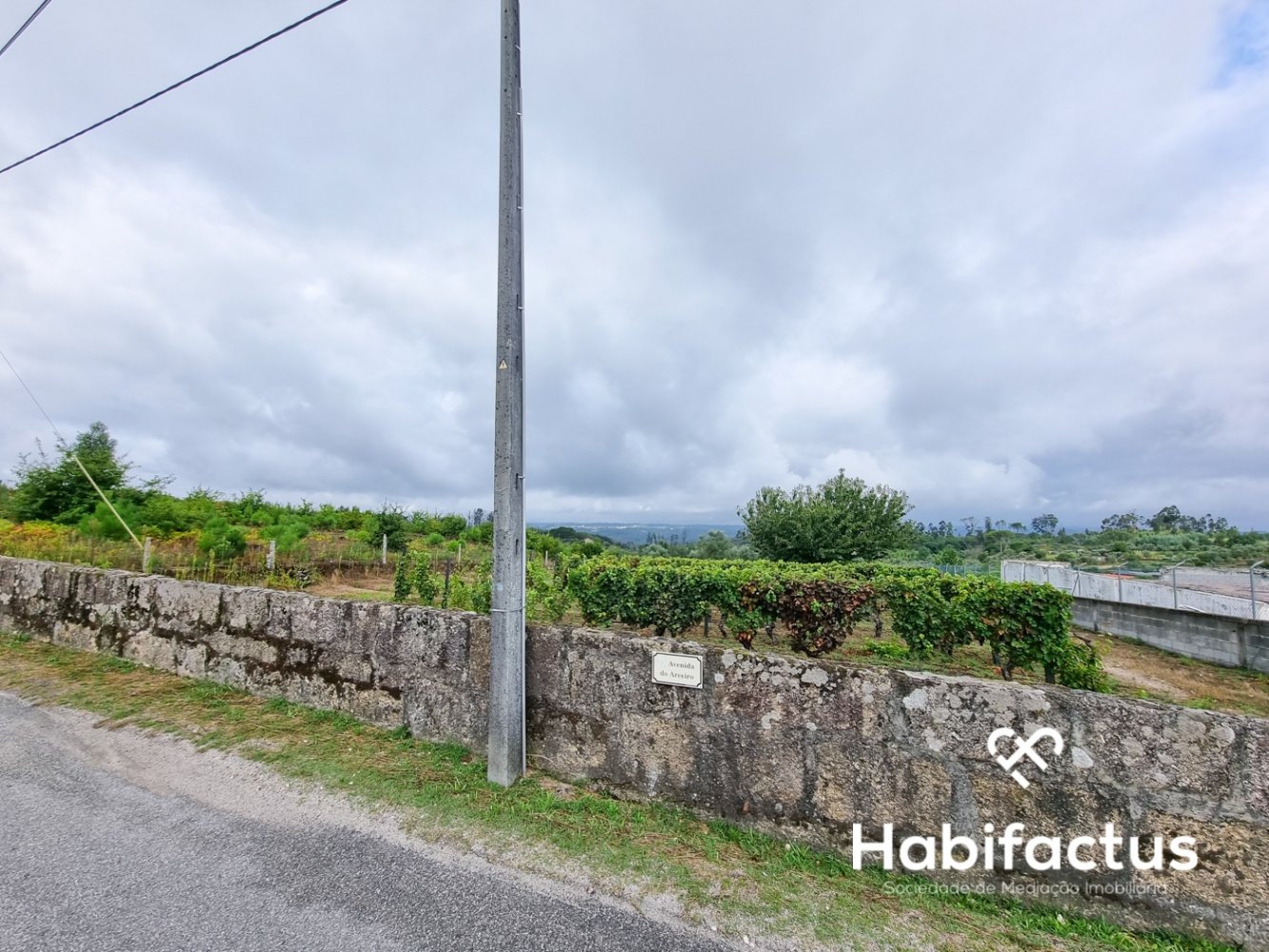  Land in Lajeosa do Dao, Portugal No. 65464