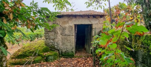  Land in Lajeosa do Dao, Portugal No. 65464 8