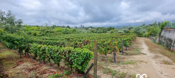  Land in Lajeosa do Dao, Portugal No. 65464 5