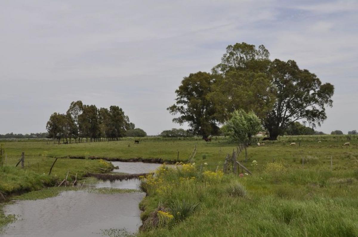  Land in Marcos Paz, Argentina No. 50019