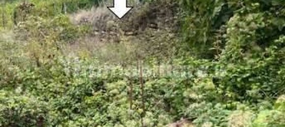 Дом с 5 комнатами в Стреви, Италия № 205218 20