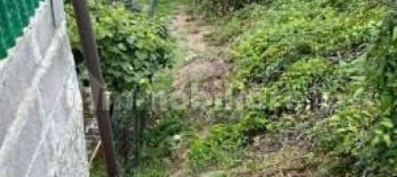 Дом с 5 комнатами в Стреви, Италия № 205218 24