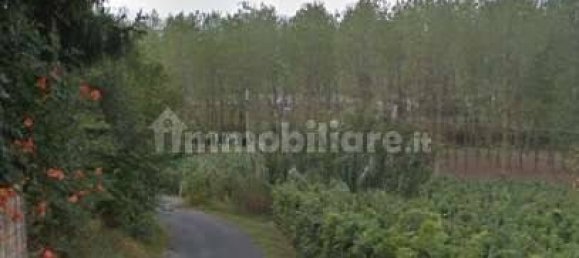 Дом с 5 комнатами в Стреви, Италия № 205218 12