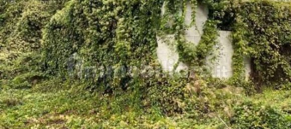 Дом с 5 комнатами в Стреви, Италия № 205218 5