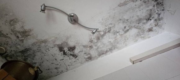 3 rooms Apartment in Piossasco, Italy No. 94165 12