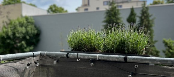 Apartamento de 1 dormitorio en Adlershof, Germany No. 264977 14