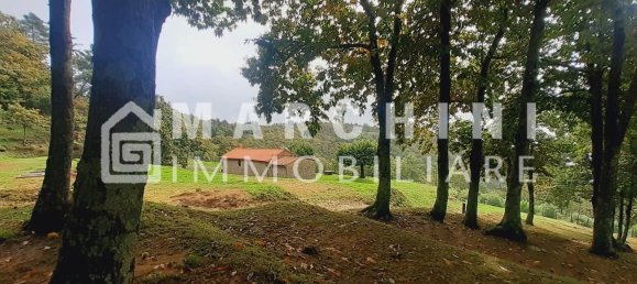 5 rooms House in Massa e Cozzile, Italy No. 83638 47