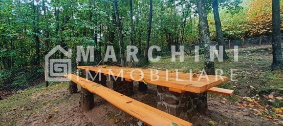 5 rooms House in Massa e Cozzile, Italy No. 83638 43