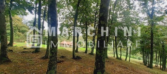 5 rooms House in Massa e Cozzile, Italy No. 83638 45