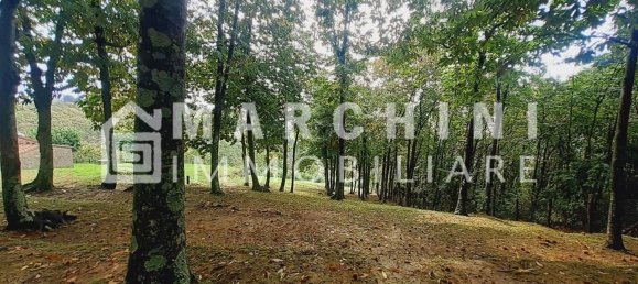 5 rooms House in Massa e Cozzile, Italy No. 83638 44