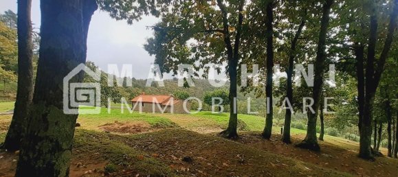 5 rooms House in Massa e Cozzile, Italy No. 83638 46