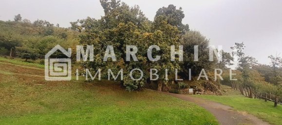 5 rooms House in Massa e Cozzile, Italy No. 83638 32