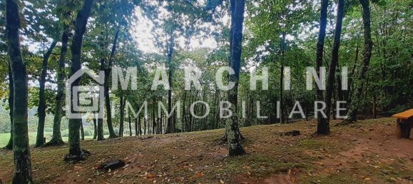 5 rooms House in Massa e Cozzile, Italy No. 83638 42