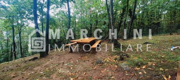 5 rooms House in Massa e Cozzile, Italy No. 83638 41