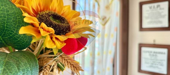 3 bedrooms Apartment in Marano di Napoli, Italy No. 377391 2