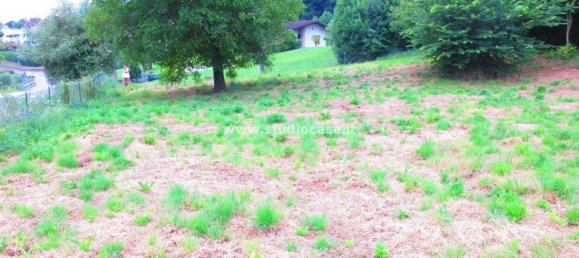 Terreno en Ranzanico, Italy 2500 m² No. 168752 4