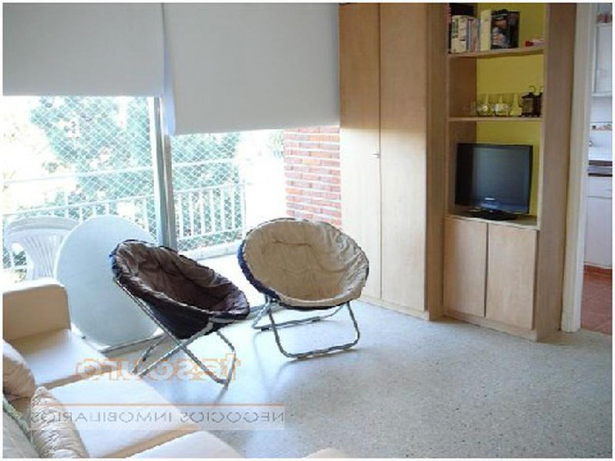 استوديو في Maldonado, Uruguay رقم 12370