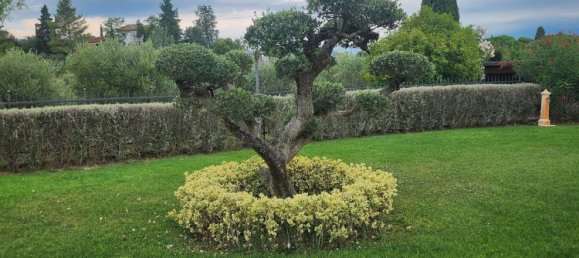 10 rooms Villa in Carmignano, Italy No. 266993 3