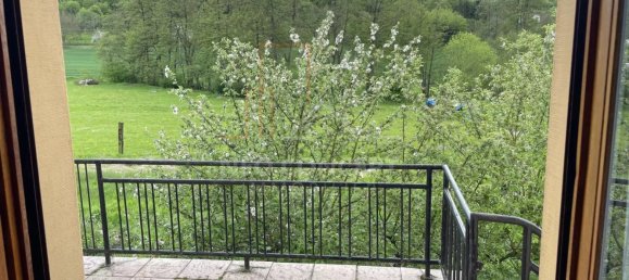 5 Schlafzimmer Haus in Lembach, France, Nr. 60896 6