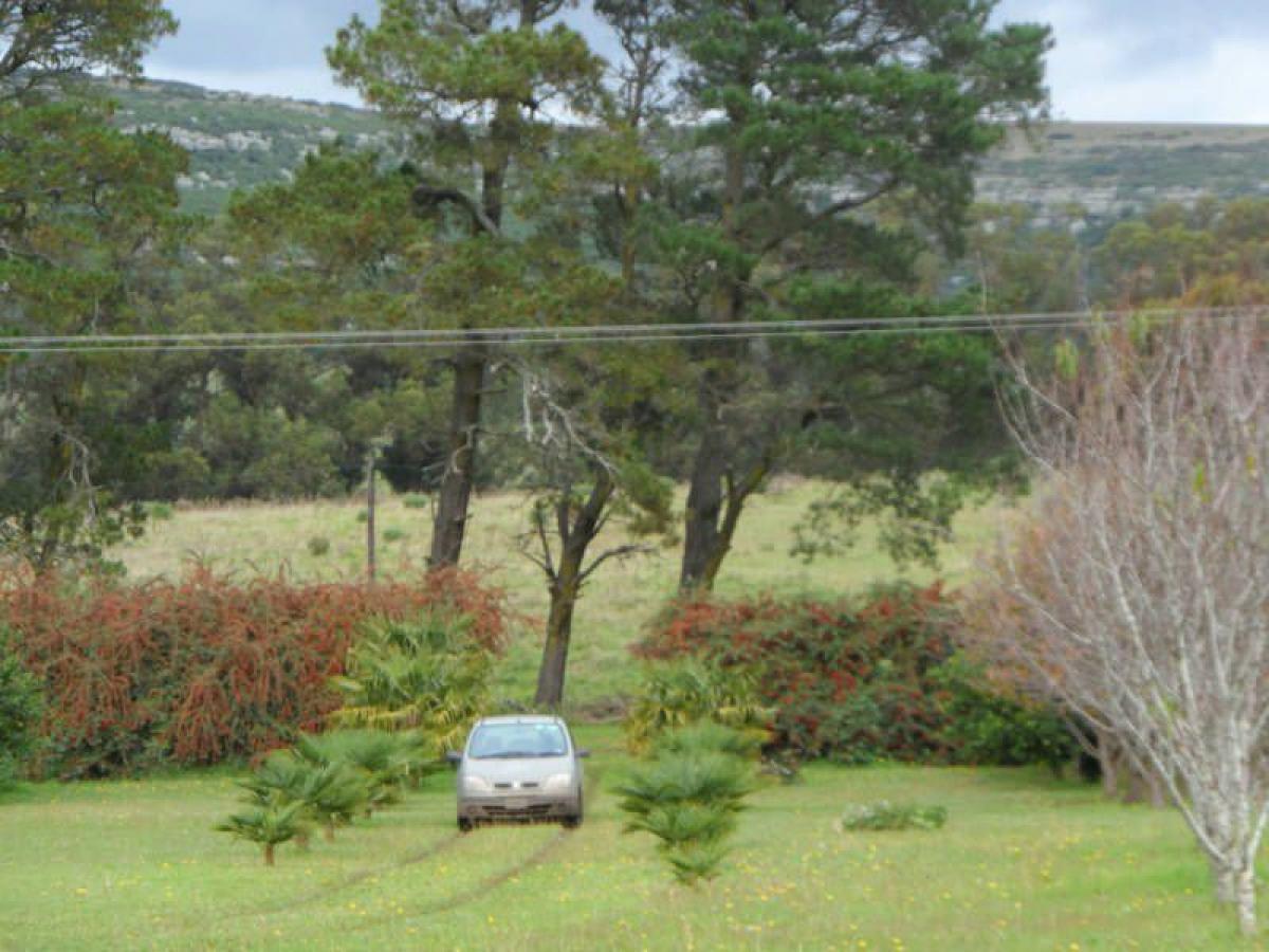 Studio in General Pueyrredon, Argentina No. 8276