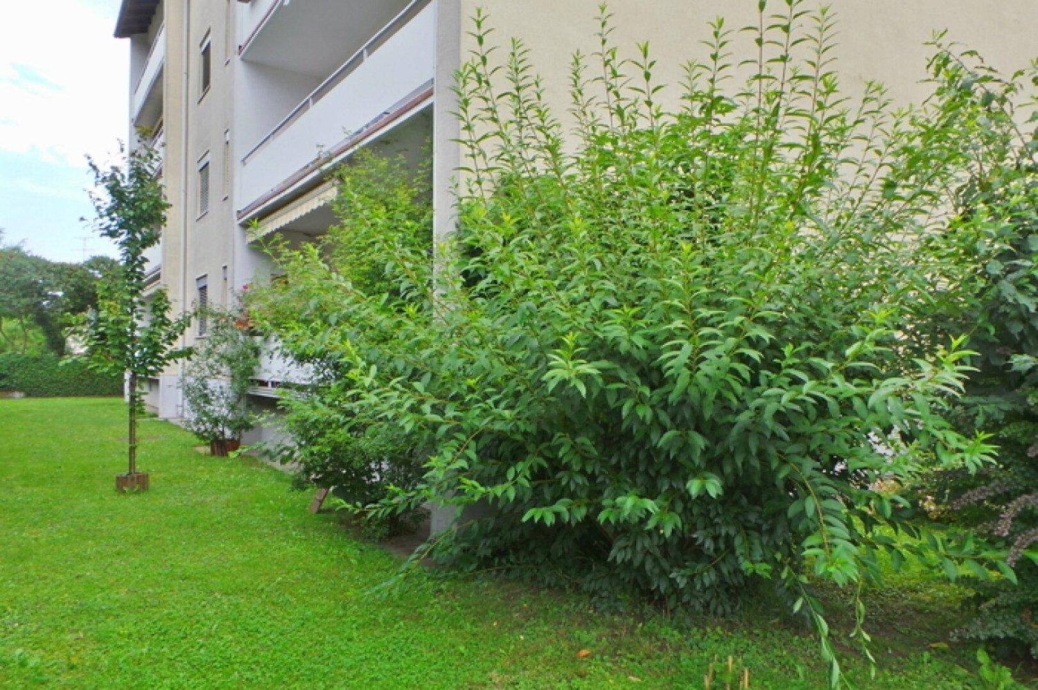 3غرفة شقة في Feldbach, Austria رقم 34488