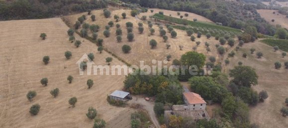 Terreno em Massignano, Italy 90000 m² N.º 259152 6