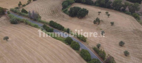 Terreno em Massignano, Italy 90000 m² N.º 259152 4