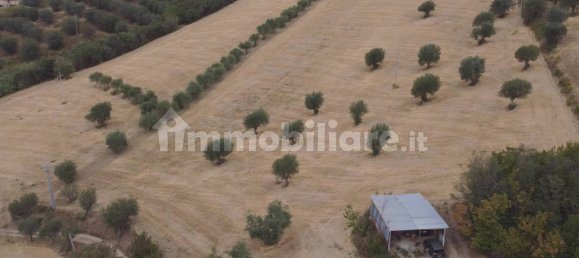 Terreno em Massignano, Italy 90000 m² N.º 259152 10