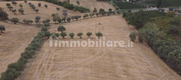 Terreno em Massignano, Italy 90000 m² N.º 259152 3