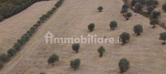 Terreno em Massignano, Italy 90000 m² N.º 259152 2