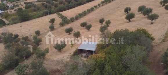 Terreno em Massignano, Italy 90000 m² N.º 259152 9