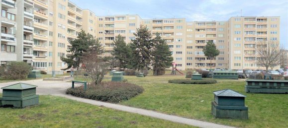 4-Zimmer Gewerbliche Immobilie in Wiener Neustadt, Austria, Nr. 36858 23