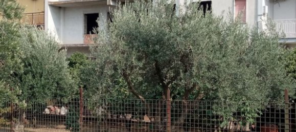 6 rooms Apartment in Roggiano Gravina, Italy No. 256869 2