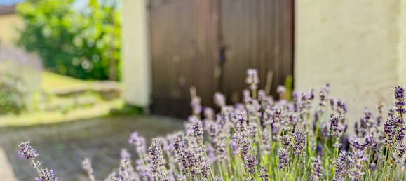 4-Zimmer Stadthaus in Vorpommern-Rügen, Germany, Nr. 249349 18