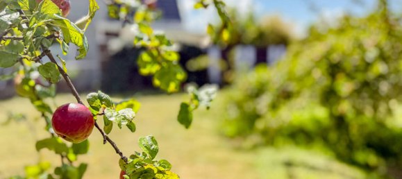 4-Zimmer Stadthaus in Vorpommern-Rügen, Germany, Nr. 249349 9