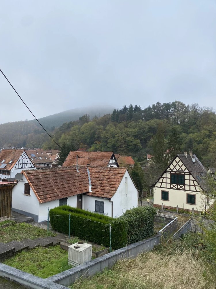 1 غرف نوم منزل في Niedersteinbach, France رقم 55655