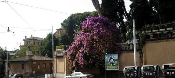 Apartamento T4 em Rome, Italy N.º 201430 19