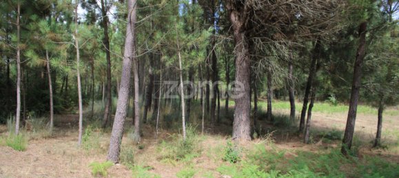  Land in Viseu, Portugal No. 91721 17