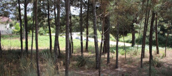  Land in Viseu, Portugal No. 91721 18