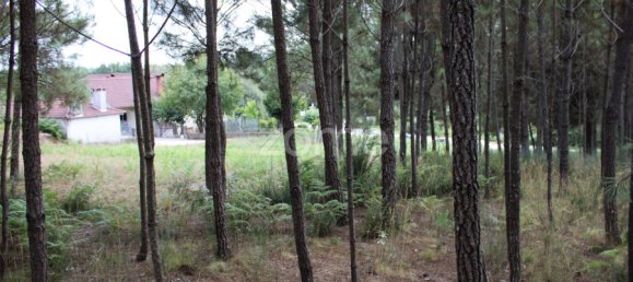  Land in Viseu, Portugal No. 91721 22