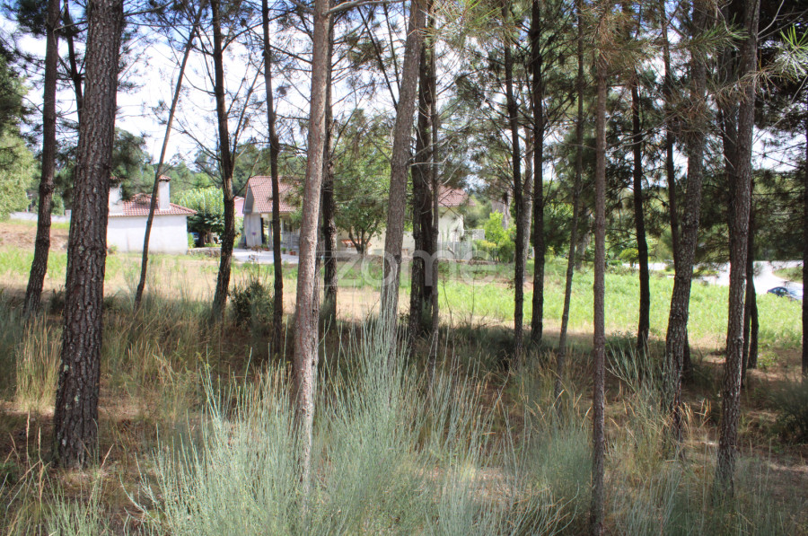  Land in Viseu, Portugal No. 91721