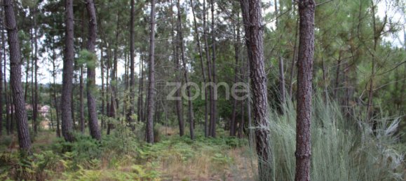  Land in Viseu, Portugal No. 91721 32