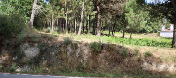  Land in Viseu, Portugal No. 91721 15